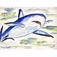 thumbnail image 2 of Betsy Drake DM213 Sharks Doormat 18 x 26, 2 of 2