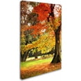 thumbnail image 2 of Trademark Fine Art "Dance of Colors" Canvas Art by Philippe Sainte-Laudy, 2 of 3