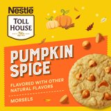 Nestlé Toll House Pumpkin Spice Flavored Morsels, Baking Chips, 9oz Bag ...