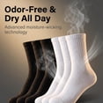 thumbnail image 5 of TRANSLINK Women Men's 6 Pack Crew Socks, 3 Black 3 White, 75% Cotton Cushioned Athletic Socks, Moisture Wicking Work Socks, 5 of 7