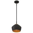 thumbnail image 4 of Miseno FL96012 9 in. 100W 1-Light Medium E-26 Pendant with Antique Brass, Black, 4 of 5