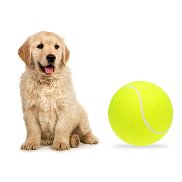 Balle de tennis pour chien 9,5 pouces Grands jouets pour animaux de  compagnie Sports de plein air Balle pour chien