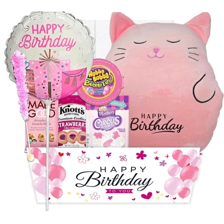The Ultimate Birthday Gift Basket for Girls | variety pack with a Happy Birthday Pink Squishy, Balloon Care Package w/snacks & Candy, girl, teenage, Granddaughter