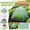 A, variant on Outdoor Plant Protective Mesh Cover,Insect Proof Garden Insulation Protection Shield Kit,Anti-Freeze Greenhouse Tent for Vegetables Fruits Flowers
