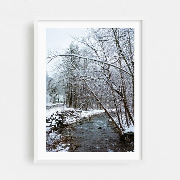 Upstate New York Snow III - New York Photography Winter Snow Nature Landscape Scenic Forest Woodland White Framed Wall Art Print 12 x 18 inches