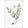 thumbnail image 2 of Pi Studio 17x24 White Modern Wood Framed Museum Art Print Titled - Little Flower III, 2 of 4