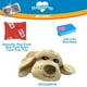 thumbnail image 5 of Juguete para Mascotas Pets Know Best Dorado con Corazón Palpitante y Calentador, 5 of 6