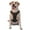 With Accessories, variant on Vsdgher Silver Glitter1 Pattern Dog Harness,No Pull Pet Harness with Soft Padded Handle,Adjustable Reflective Vest with 2 Buckles,4 Slide Buckles,S-XL X-Large