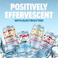 thumbnail image 5 of Splash Black Cherry Sparkling Water, 12 fl oz, 8 Cans, 5 of 13