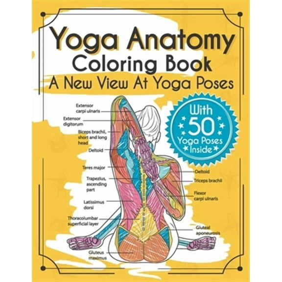 Yoga Anatomy Coloring Book: A New View At Yoga Poses (Paperback) by Elizabeth J Rochester