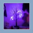 thumbnail image 3 of 23.6 Inch Halloween Birch Tree Halloween Decorations Black Christmas Tree with 24LED Orange and Purple Lights and Halloween Lights Indoor Tabletop Tree Light,2 Light Modes,USB/Battery Power, 3 of 10