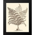 thumbnail image 2 of Munting, Abraham 12x14 Black Modern Framed Museum Art Print Titled - Sepia Munting Foliage VI, 2 of 5
