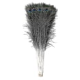 thumbnail image 1 of Natural Large Peacock Feathers For Decoration Cy Hy, 1 of 2