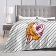 thumbnail image 4 of Bethune-Cookman A University Fleece Blanket, Very Soft Microfiber Flannel Blanket for Couch Warm and Cozy for All Seasons, 4 of 6