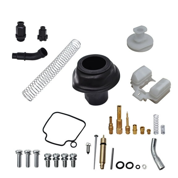 LABLT Carburetor Repair Kit Fits for 2005-2014 Honda TRX500 FA FGA FPA Foreman Rubicon 500 4X4