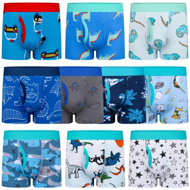BIG ELEPHANT Ropa Interior para Niño Pequeño, Calzoncillo de Algodón Suave Ropa Interior para Niño Pequeño, Paquete de 10 (4T-9Y)