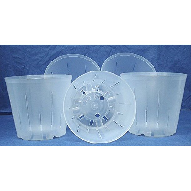 Clear Plastic Pots for Orchids 5" & 6" Quantity 5 each ID Your Orchid