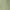 Green, variant on The Children's Place Boys Camp Cargo Short, Sizes 4-16