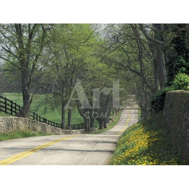 Old Iron Works Road, Lexington, Kentucky, USA, Scenic Unframed