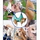 thumbnail image 3 of Arnés Hamaca para Aseo de Perros Kkiimatt 2.ª Generación XXL 30 kg Máx, 3 of 6