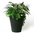 thumbnail image 6 of Algreen Olympus 16 in. Self Watering Planter, 6 of 6