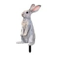 thumbnail image 2 of YWIYIUD 1PCS Easter Garden Decorations EasterBunny 2D AcrylicBunny Decorative GardenStakes Easter Welcome Signs Rabbits Happy Easter Spring Decor for Outdoor Festival Home Party Supplies, 2 of 6