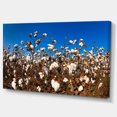 thumbnail image 2 of Blooming Alabama Cotton Field - Large Landscape Canvas Art, 2 of 4