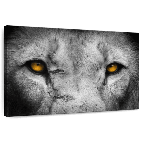 Elephant Stock Lion Eyes Pop Wall Art - Horizontal Canvas Wall Art - Living Room Wall Decor - Animal Canvas - Gray And Orange Decor - 12" x 8"