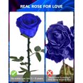 thumbnail image 3 of Rosas preservadas YAMPP Blue Rose Regalos para mujer, 3 of 7