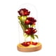 thumbnail image 1 of Rosa preservada Rosa eterna en para Acción de gracias Navidad Día de San Valentín Cumpleaños Día de Pétalo de color madera perfecl Rose in Dome, 1 of 6