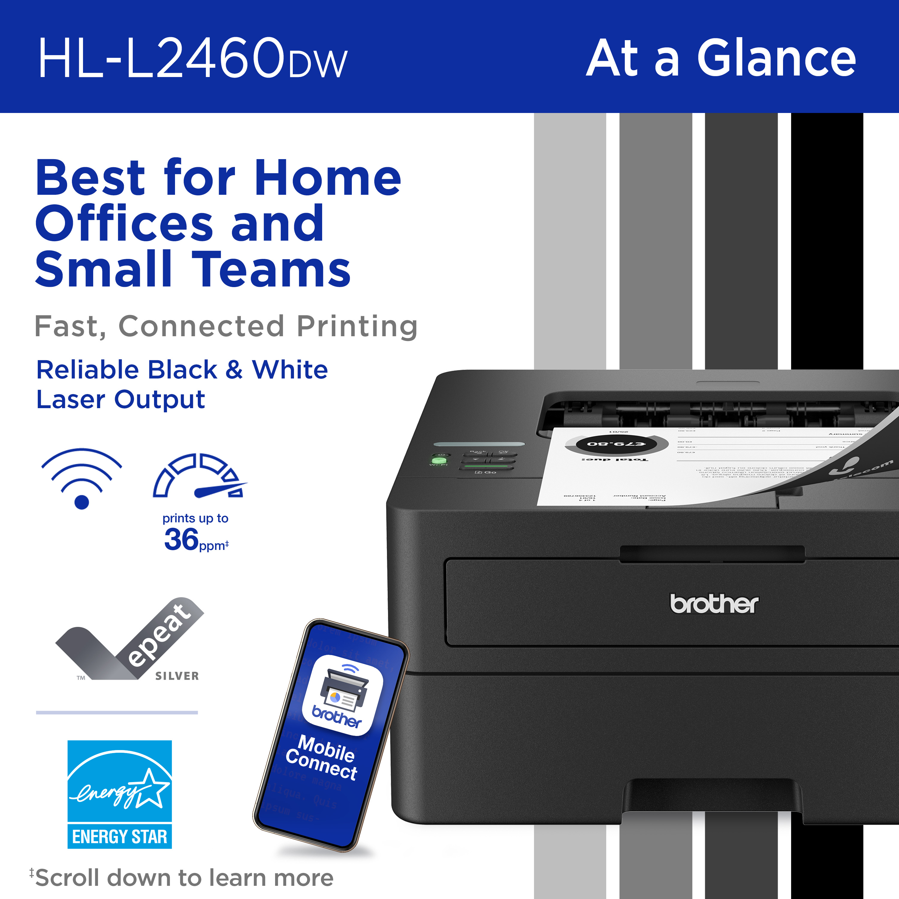Brother HL-L2460DW Wireless Laser Printer photo 2