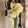 thumbnail image 6 of Danya B Clear Amphora Vase with Dark Gray Iron Sconce, 6 of 6