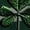 Green, variant on XQYLOS Irish Sweatshirts for Boys St 𝖯atricks Day Pullover Long Sleeve Three Shamroc𝗄 Graphic Shirts Holiday Quarter Zip Tops