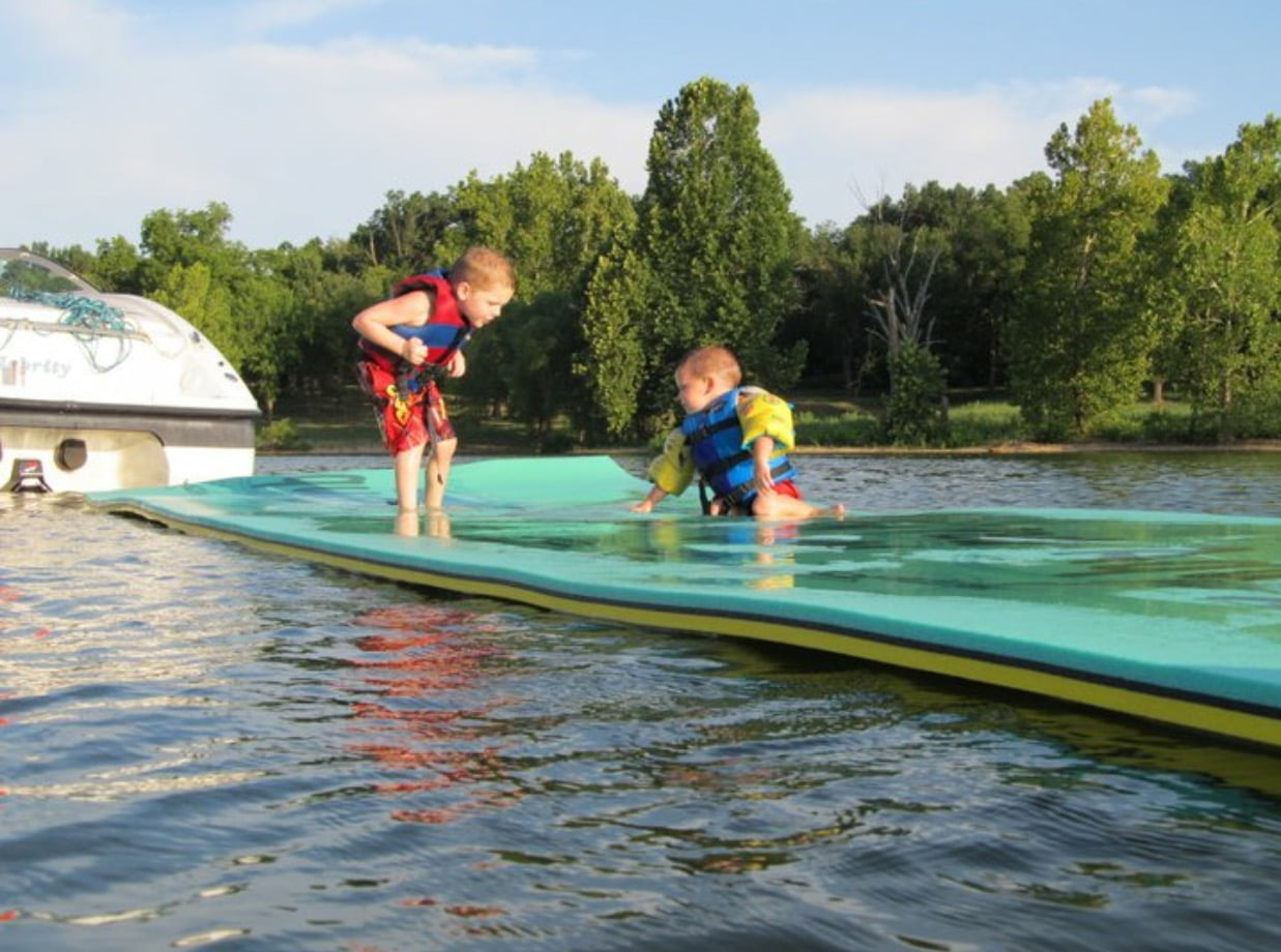 aqua lily pad bullfrog