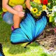 thumbnail image 3 of Simulación de mariposa estaca parque decoración de mariposa de mariposa decoración del jardín de la mariposa, 3 of 6
