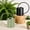 Black, variant on Plant Watering Can, Stainless Steel Metal - Modern Decorative with Long Spout for Indoor Potted Plants, Bonsai, Garden Flowers