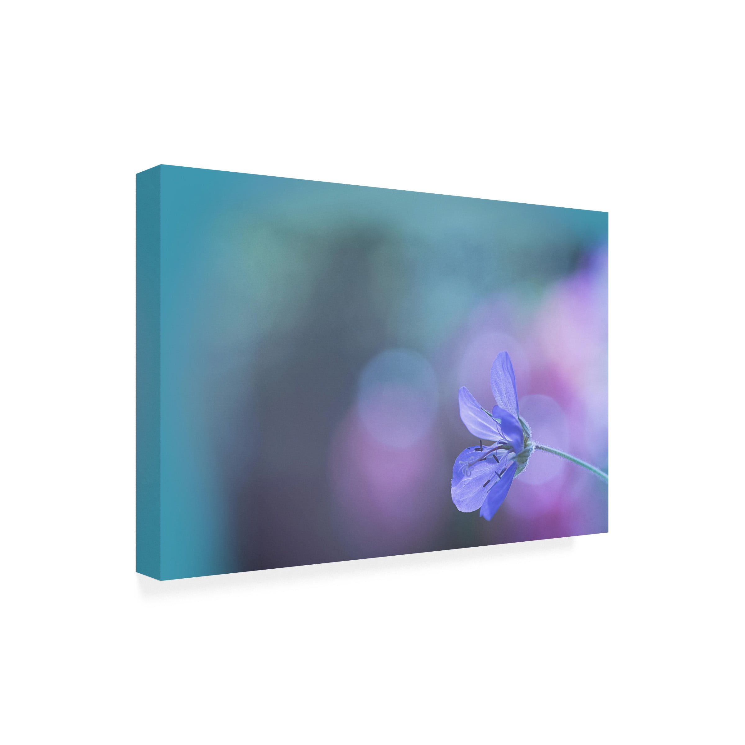 Pia Mihailowitsch 'Lone Purple Flower' Canvas Art