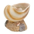 thumbnail image 1 of POINTERTECK 1Pc Simulé Harpe Coquille Pot de Fleurs Plantes d'Intérieur Pot Résine Artware Jaune Clair, 1 of 6