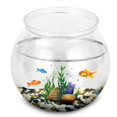 thumbnail image 1 of Round Aquarium Clear Table Top Fish Bowl Unbreakable Ornament Holder, 1 of 4