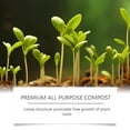 thumbnail image 5 of BANIRO 2026 New Succulent Cactus Soil Potting Mix 110G Natural Organic Potting Mix for Palm Citrus Grown in Containers for Succulent,Cactus,Indoor,Outdoor, 5 of 7