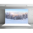 thumbnail image 1 of ABPHQTO Fondos de fotografía de bosque de pino de 150x220 cm para accesorios de fotos Fondo de Navidad, 1 of 2