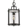 thumbnail image 6 of Golden Lighting Payton 1-light Pendant in Matte Black, 6 of 6