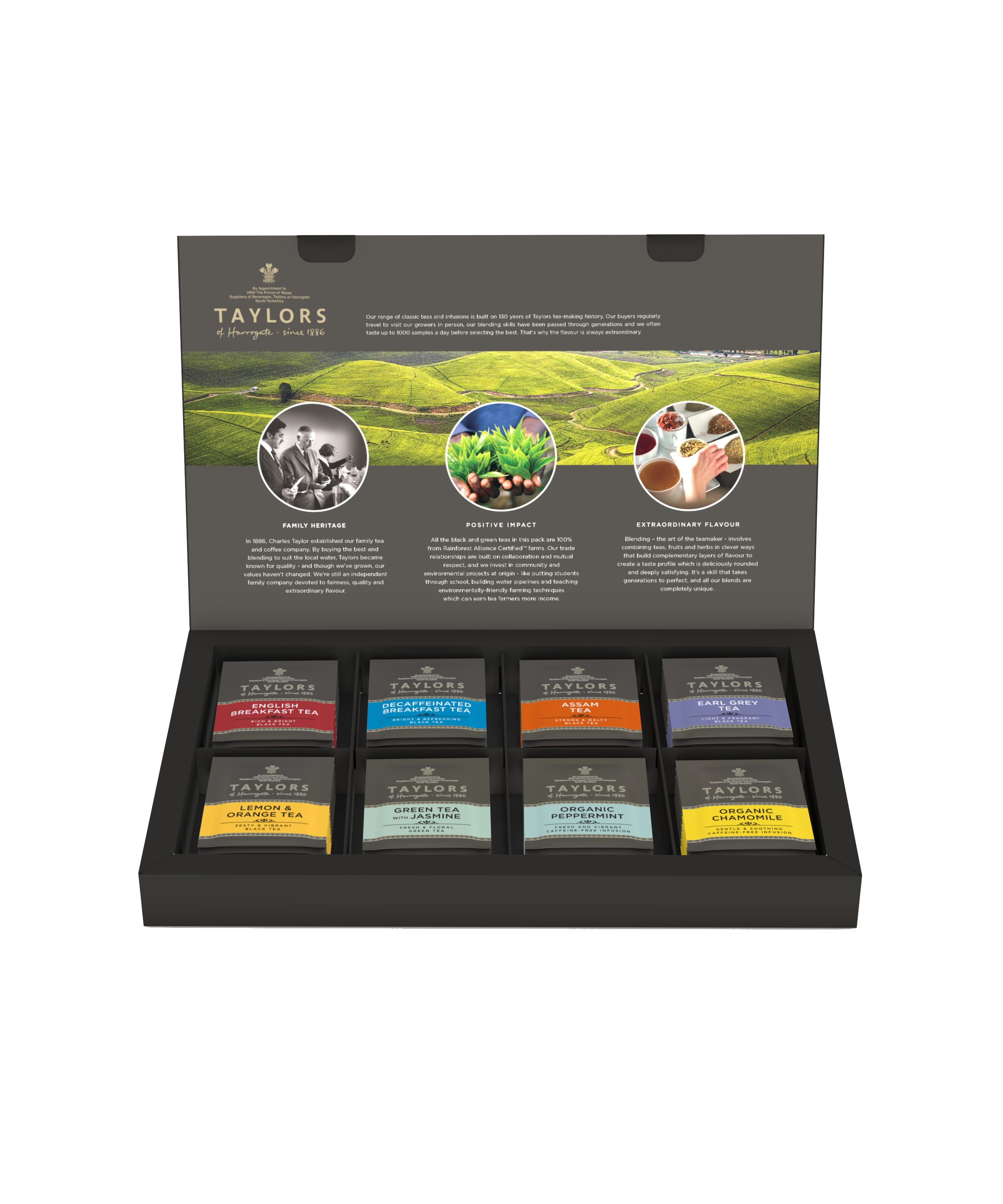 Taylors of Harrogate Assorted Specialty Teas Box , 48 Count (Pack of 1)