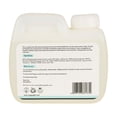 thumbnail image 2 of ISOI Crema Energizante Intensiva EX Fórmula Hidratante Profunda para Elasticidad y Firmeza de la Piel Crema Reafirmante para Cara y Cuello Cuidado de la Piel Coreana (0.68 fl. oz 20ml), 2 of 3