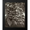 thumbnail image 2 of Blaustein, Alan 12x14 Black Modern Framed Museum Art Print Titled - Florison - 9, 2 of 5