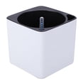 thumbnail image 1 of cuadrada de plástico con riego automático con indicador de agua para Sunnimix macetas de riego automático, 1 of 2