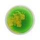 thumbnail image 5 of Tapete de juego de actividades sensoriales Liquid Sensory Floors Tapete de juego de actividades multicolor para amarillo y verde, 5 of 9