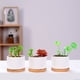 thumbnail image 4 of Kearding El soporte de bambú natural de 6 piezas mejora la transpirabilidad en macetas de plántulas y la cerámica es resistente y duradera Jardín y Patio Maceta de porcelana blanca, 4 of 6