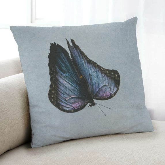 Ahgly Company Insects Butterfly Indoor Throw Pillow, 18 inch by 18 inch