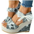 thumbnail image 3 of POINTERTECK Sandales Compensées à Plateforme pour Femmes Mode Fleur Lacets Chaussures, 3 of 6